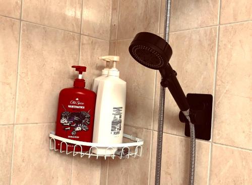 a bathroom with a bottle of soap and a blow dryer at Separate Entry Private 2 Bedrooms Free Parking Near Skytrain Metrotown in Burnaby