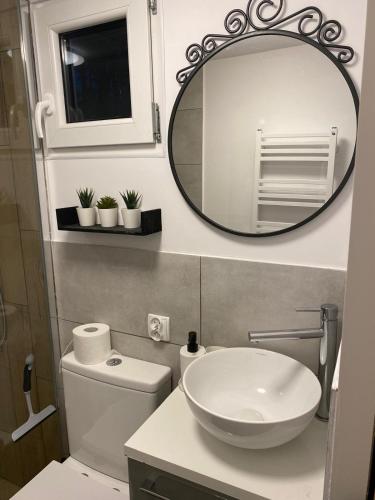 a bathroom with a sink and a mirror over a toilet at Domki na skraju lasu in Jasień