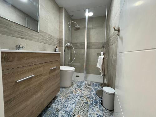 a bathroom with a toilet and a shower in it at Céntrico apartamento muralla 1 in Lugo