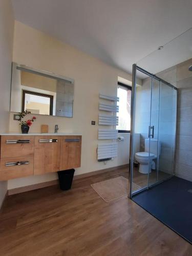 une salle de bain avec une douche en verre et des toilettes dans l'établissement LAMIELLE grande maison restaurée aux portes du Quercy, à Moissac