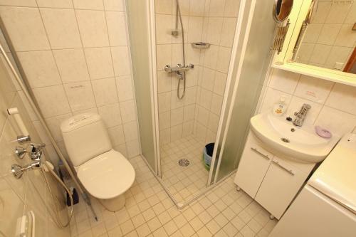 a bathroom with a shower and a toilet and a sink at AnriStar in Äkäslompolo