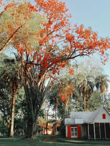 a red barn and a tree with orange leaves at Estancia Las Mercedes in Eldorado