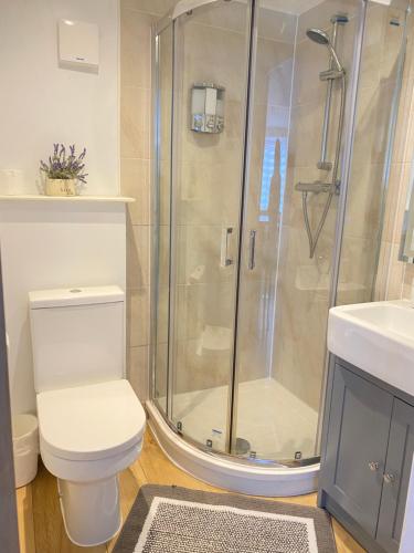 a bathroom with a shower and a toilet and a sink at Sunny Bright Flat near South Park and OxfordBrooks in Oxford