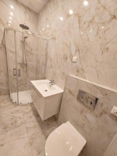 a bathroom with a toilet and a shower and a sink at Trakai Castle View Villa55 in Trakai
