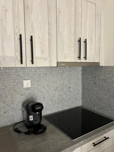 The MITS luxury apartments