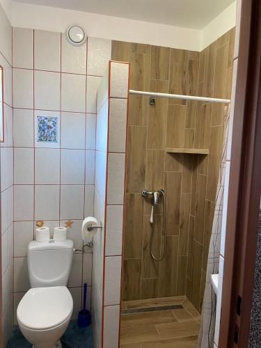 a small bathroom with a toilet and a shower at Fala in Karwia