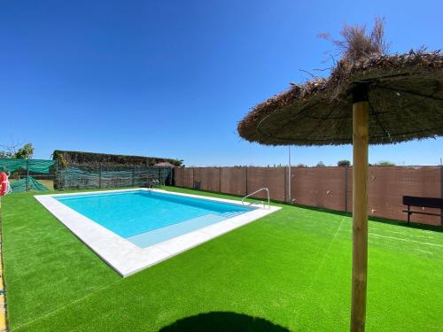 una piscina con sombrilla y césped verde en Apartamento Camaleón, en Chipiona