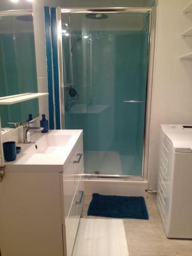une salle de bain avec une douche, un lavabo et un miroir dans l'établissement T4 lumineux proche hypercentre, à Toulouse