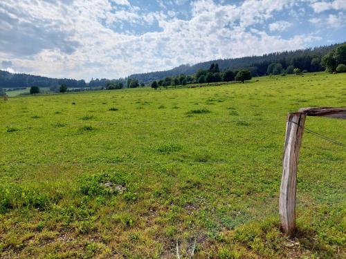 a fence in the middle of a green field at Penzion SLUPEČNÁ in Lipno nad Vltavou