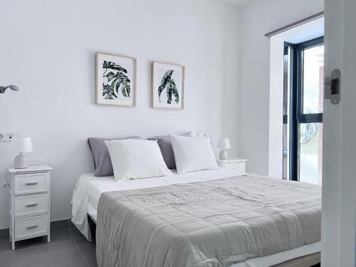 Apartamento Circo 6