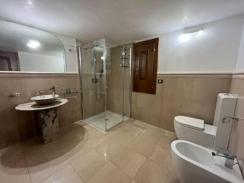 une salle de bain avec une douche, des toilettes et un lavabo dans l'établissement Magnifique appt T2 avec Piscine, à Saint-Cyr-sur-Mer