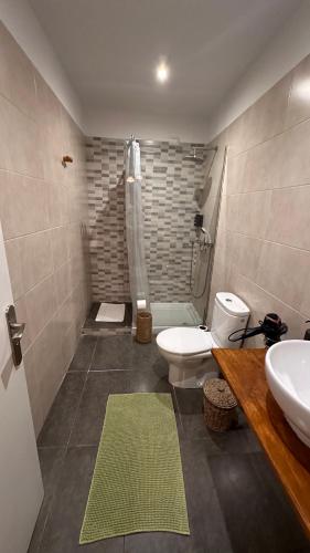 a bathroom with a toilet and a sink and a shower at Casa Regina Tenerife in Tamaimo