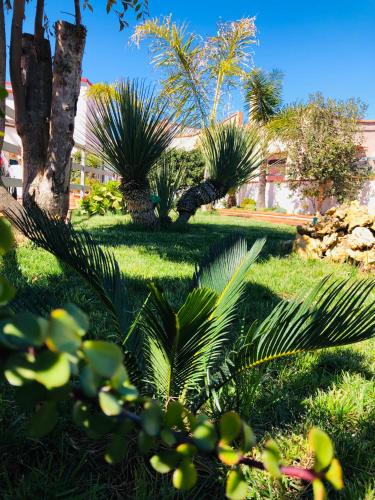 a park with palm trees and green grass at B&B BELLAMI' in Tuglie