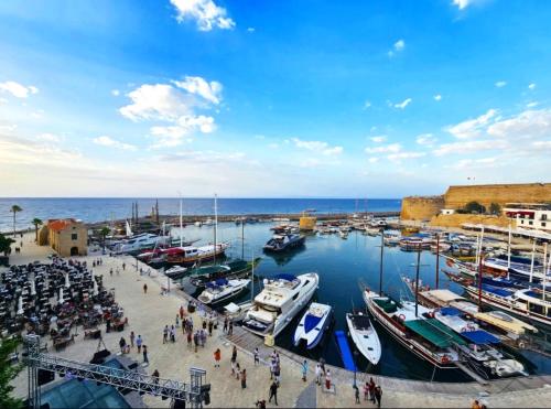 a group of boats docked at a marina at Cyprus Harbour Suites in Kérynia