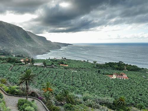 a view of the ocean from a hill with palm trees at Finca mit Meerblick und Jacuzzi in Las Cruces