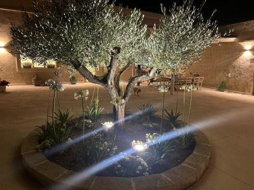 a tree with lights in a courtyard at night at Masseria Spiga in Gravina in Puglia