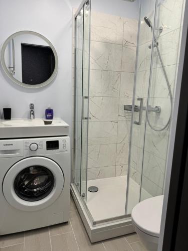a bathroom with a washing machine and a shower at Aleksandra Apartment in Ventspils