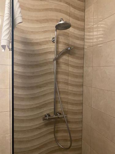 a shower with a shower head in a bathroom at Villa MirIva in Katuni
