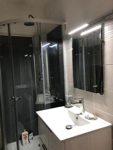 une salle de bain avec un lavabo et une douche dans l'établissement Le Rabelais, Studio terrasse, à Nice