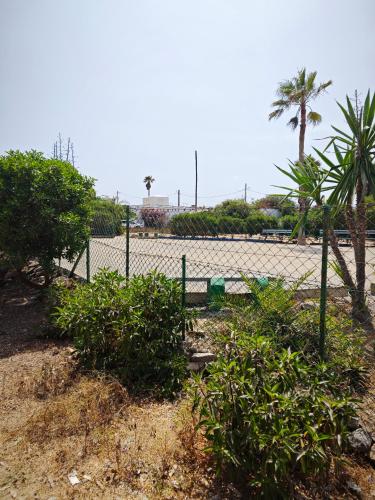 Ein Garten an der Unterkunft Villa Plage David Bouznika