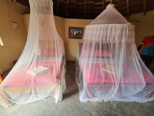 two mosquito nets are hanging in a room at Heritage Safari Lodge in Pakwach East