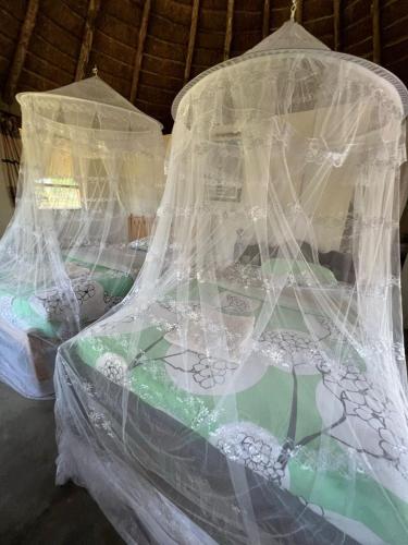 two beds covered in plastic in a room at Heritage Safari Lodge in Pakwach East