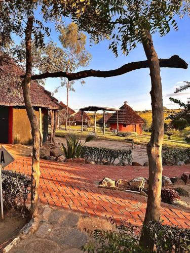 a tree sitting next to a brick walk way at Heritage Safari Lodge in Pakwach East