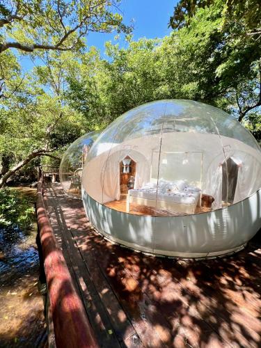 a glass dome house in the middle of a forest at Rock and Sea Resort in Watamu
