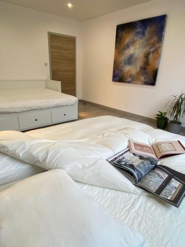 a bedroom with two beds and a painting on the wall at ART HOUSE - Maison d'art in Mons