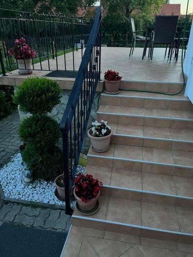 a set of stairs with potted plants and flowers at Rege apartman 3 in Alsóörs