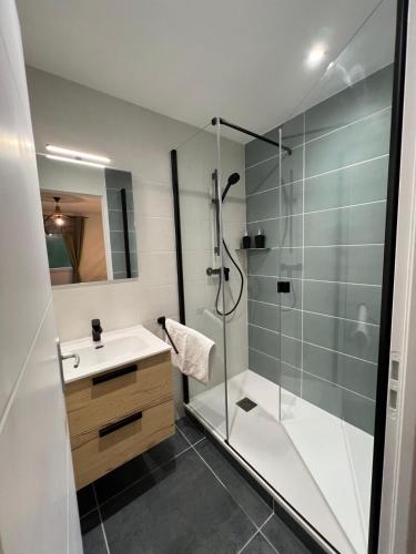 une salle de bain avec douche et lavabo dans l'établissement Gîte l Ainstant à 2 pas de la rivière, proche CNPE et A42, à Neuville-sur-Ain