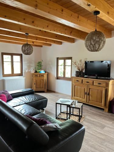 TV a/nebo společenská místnost v ubytování Ancienne ferme de Charles