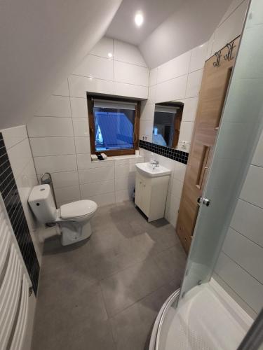 a bathroom with a toilet and a sink and a window at Domki i Pokoje u Ilony in Krościenko
