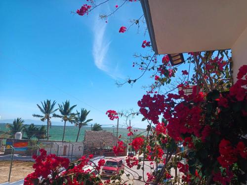 a view of the beach with red flowers at Casa Ana Ruth (Bucerias, Nay.) in Bucerías