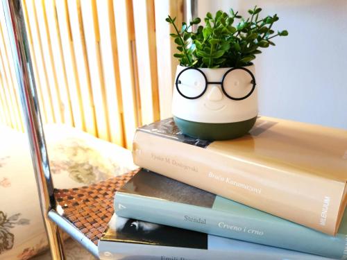 a stack of books with a potted plant on top at Durakovic Apartments in Herceg-Novi