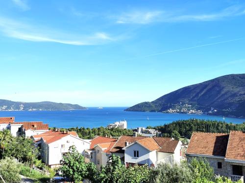 a view of a town with the ocean in the background at Durakovic Apartments in Herceg-Novi