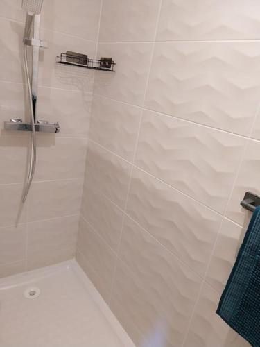 une salle de bain avec une douche avec une porte vitrée dans l'établissement Appartement cosy et calme, à Saint-Pierre-de-Boeuf