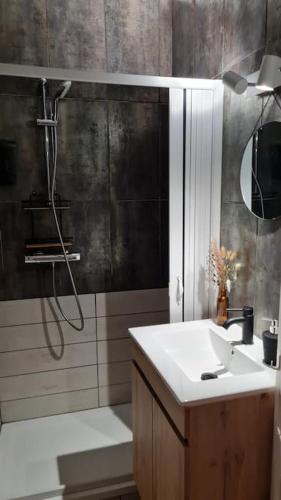 a bathroom with a shower and a sink and a sink at Balnéo in Vesoul
