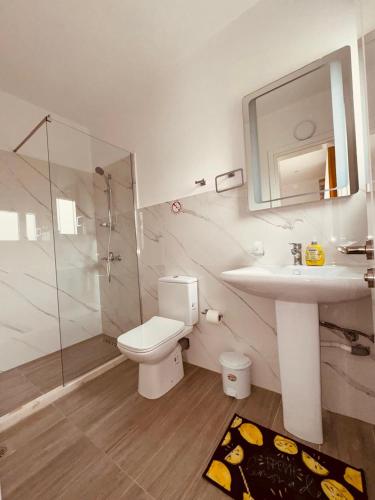 a bathroom with a toilet and a sink and a shower at Orfeu apartments Ksamil in Ksamil