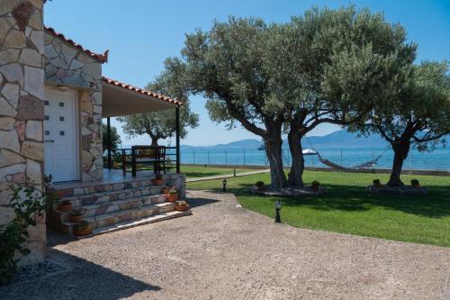a building with a porch and two trees and the water at Luxury Beach Villa in Skála