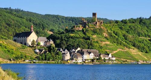 a small town on a hill next to a body of water at Im Beilsteiner Mühlental in Beilstein