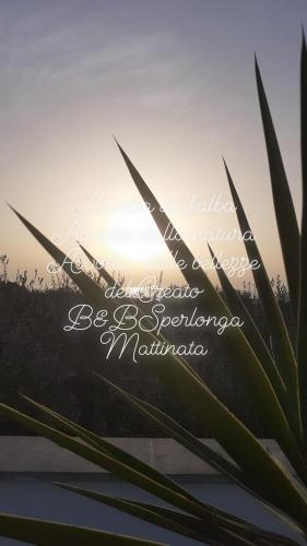 a view of the sunset from behind some plants at B&B Sperlonga in Mattinata