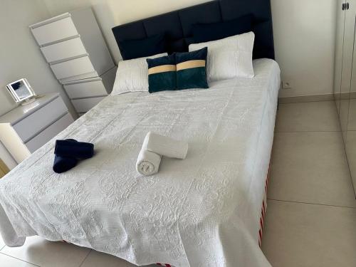 Super Apartment, Parking, Terrace, Lift, WIFI, Palm Beach, Cannes