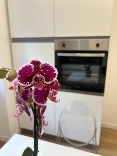Simon's House photo 15