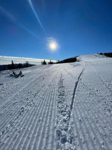 a snow covered field with a person on a sled at Apartment RELAX Bad Kleinkirchheim in Wiedweg