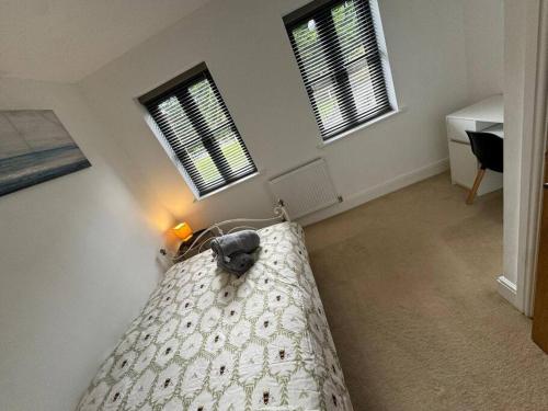 a dog laying on top of a bed in a room at Church Court 2 Bed 55 Inch SKY TV Northampton Parking Contractor Accommodation in Earls Barton