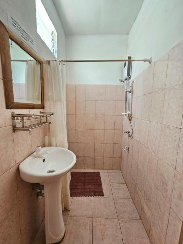 a bathroom with a sink and a shower at Big BamBoo Beach Resort Sipalay in Sipalay