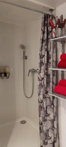 a bathroom with a shower with red towels at La Casanat in Montgiscard