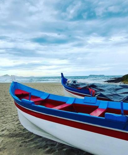 Landskap semula jadi dekat dengan chalet