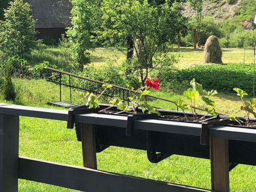 a table with two plants on it in a garden at Soul House in Pilipets